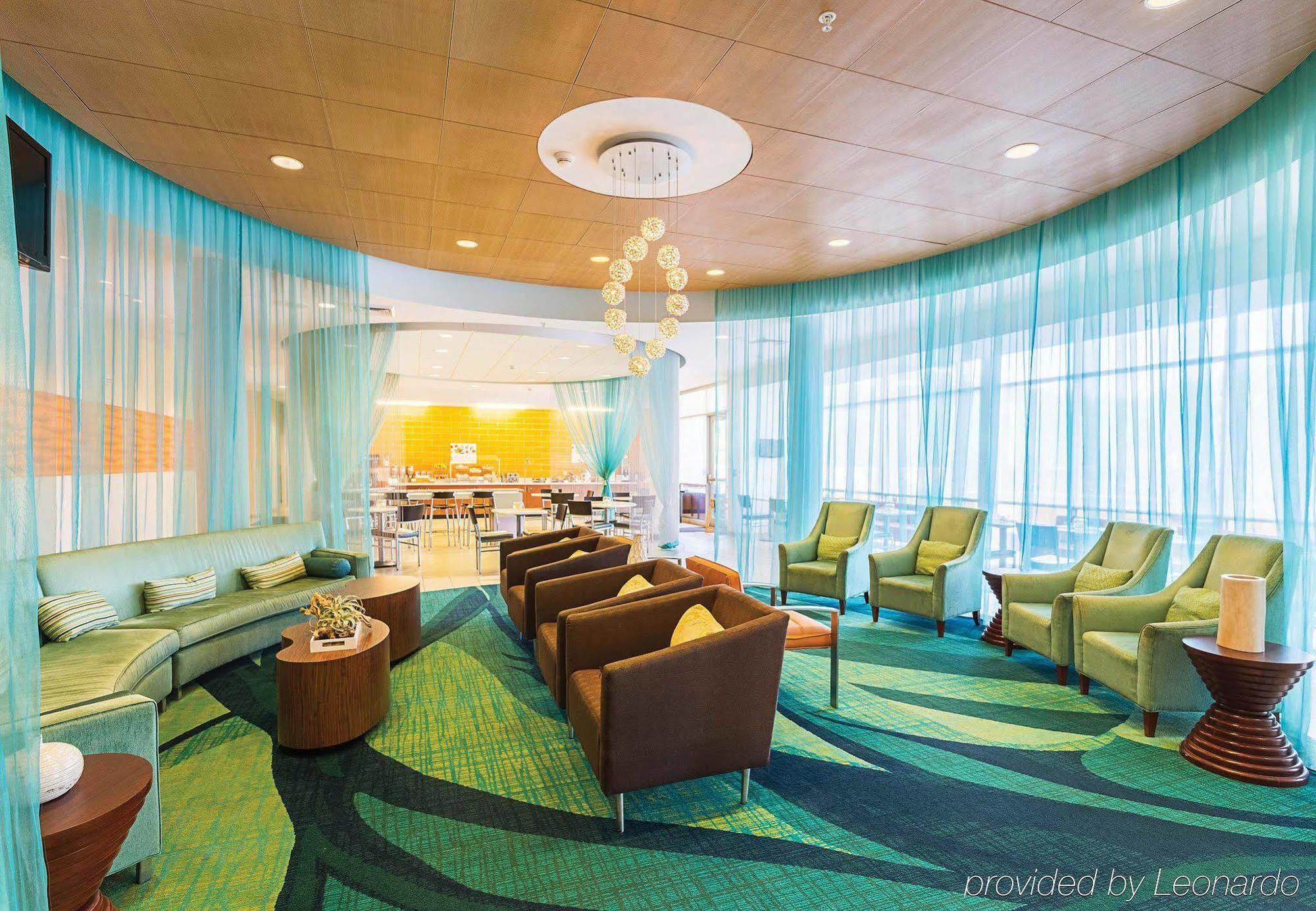 Springhill Suites Tampa North/Tampa Palms Экстерьер фото